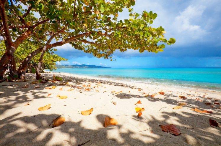 nature, Landscape, Virgin Islands, Beach, White, Sand, Trees, Leaves, Sea, Shadow, Clouds HD Wallpaper Desktop Background