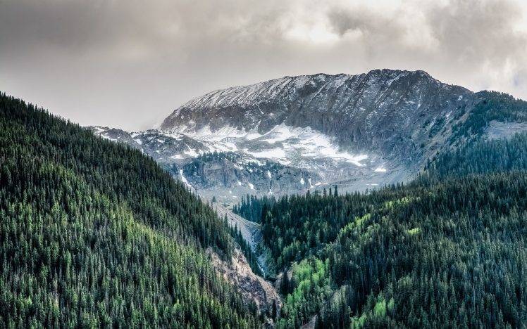 nature, Landscape, Colorado, Mountain, Forest, Clouds, Snow, Trees HD Wallpaper Desktop Background