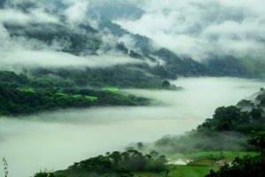 nature, Landscape, Mountain, Spring, Mist, Forest, River, Trees, India