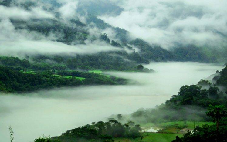 nature, Landscape, Mountain, Spring, Mist, Forest, River, Trees, India HD Wallpaper Desktop Background