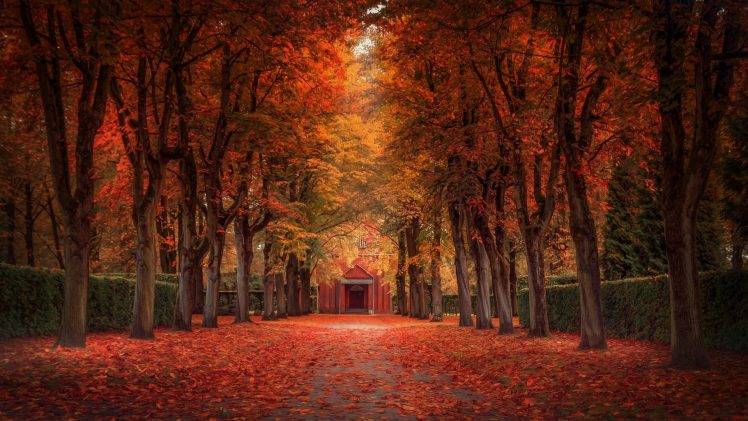 nature, Landscape, Fall, Leaves, Trees, Street, Park, Shrubs HD Wallpaper Desktop Background