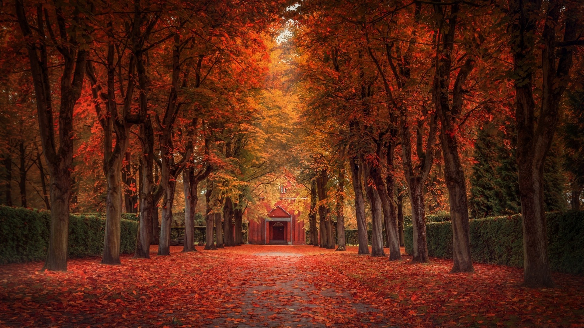 nature, Landscape, Fall, Leaves, Trees, Street, Park, Shrubs Wallpaper