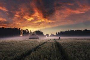 nature, Landscape, Field, Sunrise, Trees, Farm, Sky, Clouds, Mist, Finland