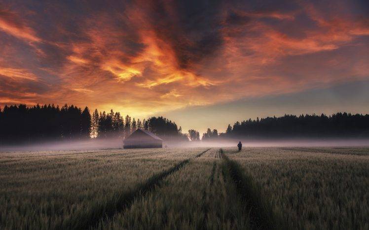 nature, Landscape, Field, Sunrise, Trees, Farm, Sky, Clouds, Mist, Finland HD Wallpaper Desktop Background
