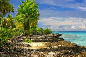 nature, Landscape, Tropical, Beach, Sea, Clouds, Palm Trees, Island, Shrubs