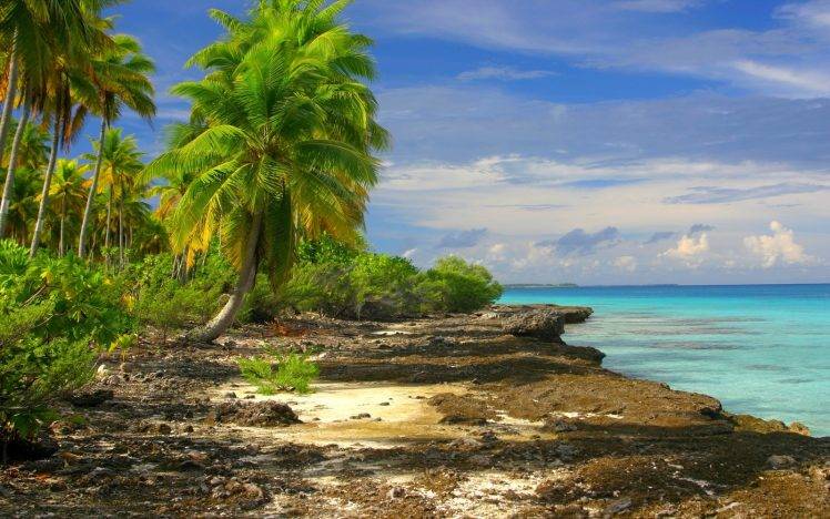 nature, Landscape, Tropical, Beach, Sea, Clouds, Palm Trees, Island, Shrubs HD Wallpaper Desktop Background