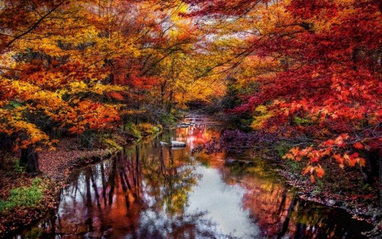 nature, Landscape, River, Leaves, Colorful, Trees, Fall, Water, Reflection, Foliage, Maine HD Wallpaper Desktop Background