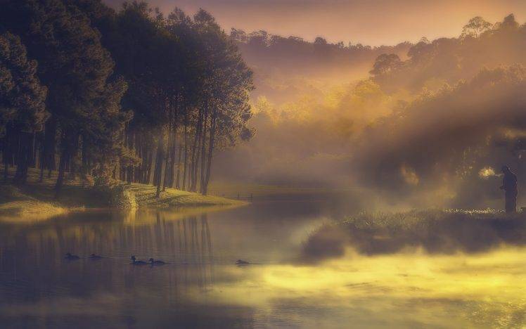 nature, Water, Landscape, Lake, Mist, Sunrise, Forest, Duck, Fisherman, Hill, Trees HD Wallpaper Desktop Background
