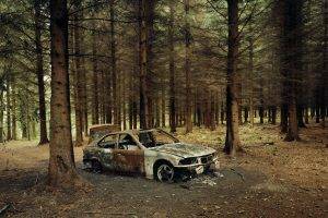 forest, Vehicle, Car, Wreck, BMW
