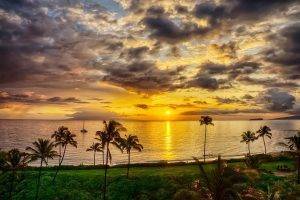 nature, Landscape, Island, Sunset, Beach, Palm Trees, Sea, Sky, Grass, Shrubs, Clouds, Maui