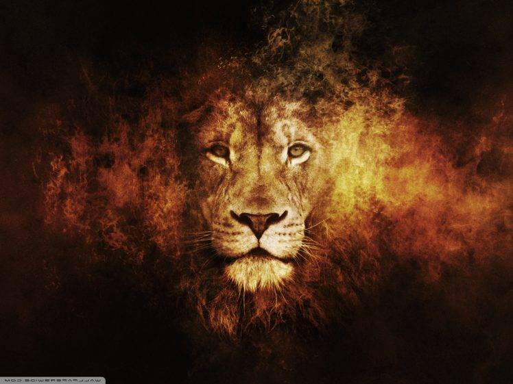 lion, Animals, Texture HD Wallpaper Desktop Background