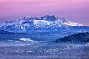 nature, Landscape, Mountain, Winter, Pink, Sky, Forest, Mist, Snow, Slovakia