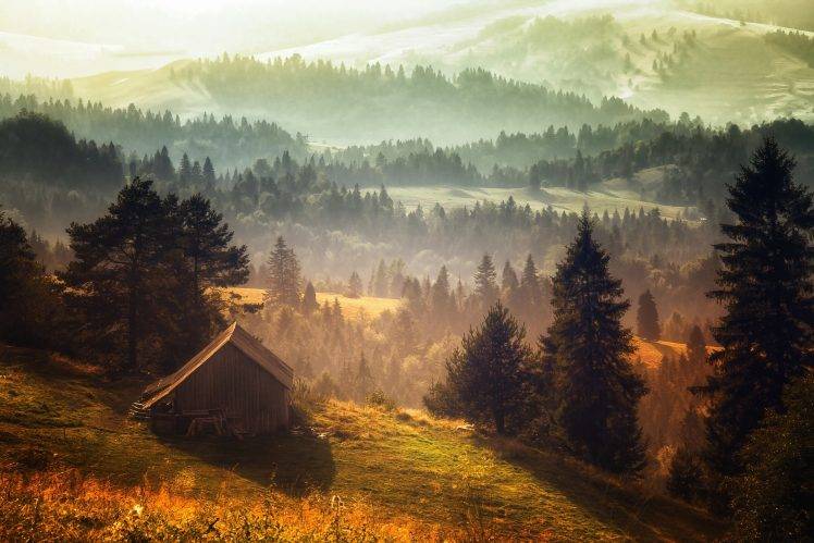 nature, Landscape, Mist, Forest, Cabin, Hill, Morning, Grass, Trees HD Wallpaper Desktop Background