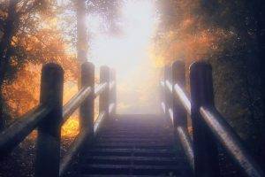 nature, Landscape, Bridge, Fence, Stairs, Mist, Sunrise, Trees, Leaves, Fall, Sunlight