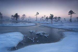 nature, Landscape, Winter, Trees, Sunrise, River, Snow, Frost, Estonia, Mist, Cold
