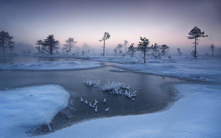 nature, Landscape, Winter, Trees, Sunrise, River, Snow, Frost, Estonia, Mist, Cold HD Wallpaper Desktop Background
