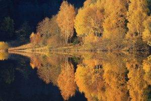 nature, Landscape, Lake, Forest, Fall, Water, Reflection, Trees, Calm, Yellow, Hill