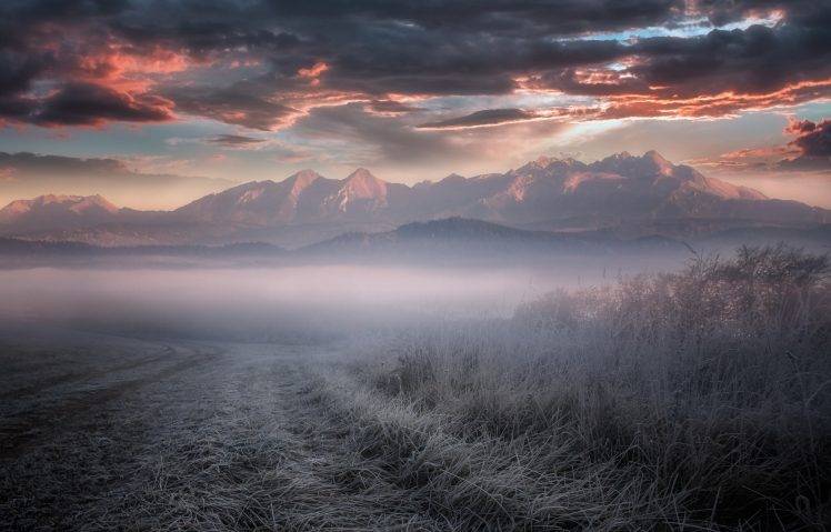 nature, Landscape, Frost, Mountain, Dry Grass, Mist, Sunrise, Shrubs, Sky, Cold, Clouds HD Wallpaper Desktop Background