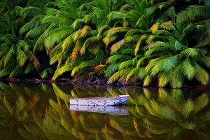 nature, Landscape, Palm Trees, Jungles, Lake, Boat, Australia, Tropical, Island, Water, Reflection