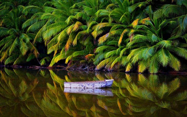 nature, Landscape, Palm Trees, Jungles, Lake, Boat, Australia, Tropical, Island, Water, Reflection HD Wallpaper Desktop Background