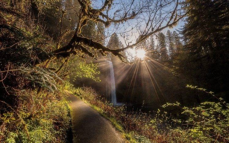 nature, Landscape, Forest, Waterfall, Path, Sun Rays, Shrubs, Trees, Sunrise, Oregon HD Wallpaper Desktop Background
