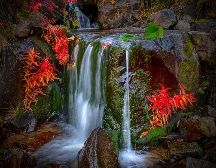 waterfall, Nature, Colorful, Leaves, Moss, Red, Landscape HD Wallpaper Desktop Background
