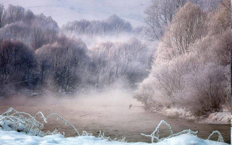 nature, Landscape, Winter, Mist, River, Trees, Birds, Snow, Frost, Forest, Sunrise, Cold, White HD Wallpaper Desktop Background