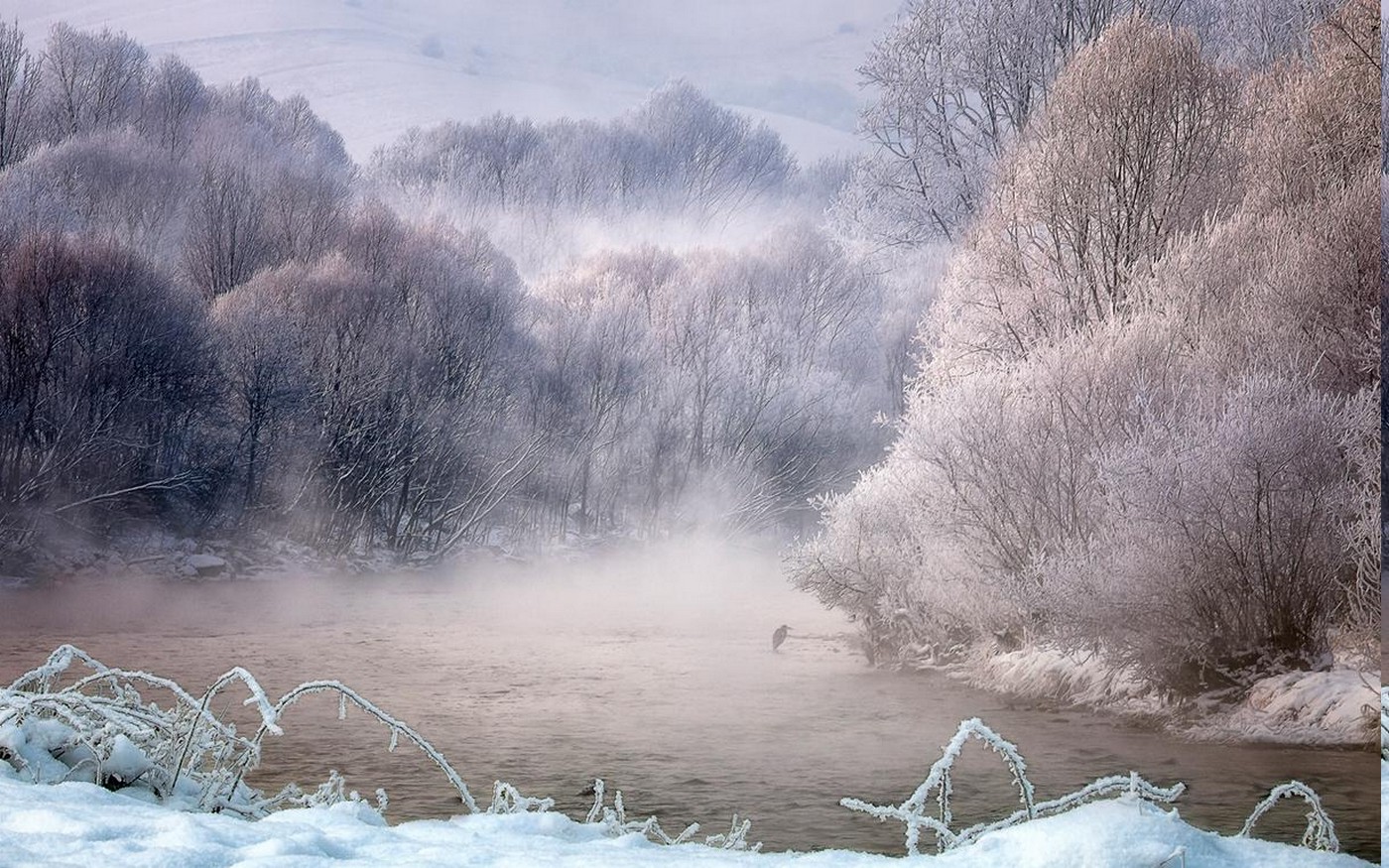 nature, Landscape, Winter, Mist, River, Trees, Birds, Snow, Frost, Forest, Sunrise, Cold, White Wallpaper