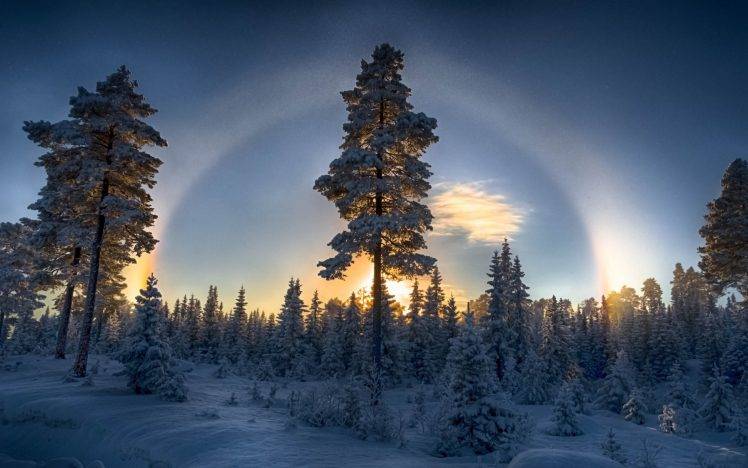 nature, Landscape, Sunset, Forest, Winter, Halo, Trees, Cold, Snow, Sky, Blue HD Wallpaper Desktop Background