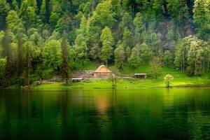 nature, Landscape, Green, Lake, Forest, Grass, Mist, Hill, Cabin, Trees, Water