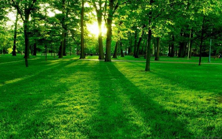 nature, Landscape, Green, Grass Wallpapers HD / Desktop and Mobile  Backgrounds