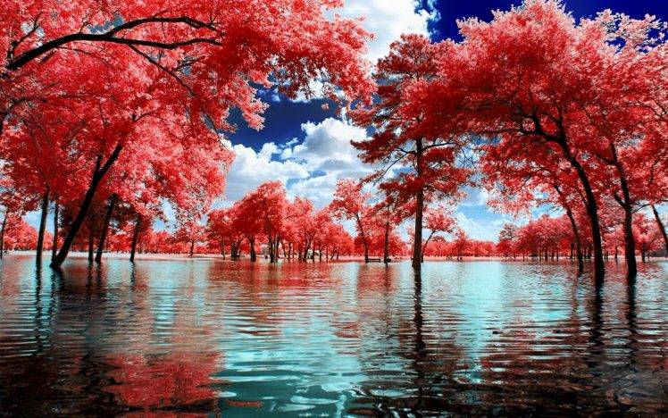 nature, Landscape, Surreal, Trees, Water, Park, Clouds, Pink, White, Blue HD Wallpaper Desktop Background