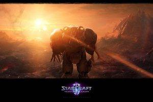 Starcraft II, Video Games