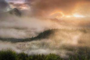 landscape, Nature, Mist, Forest, Clouds, Sunrise, Mountain, Trees, Alaska