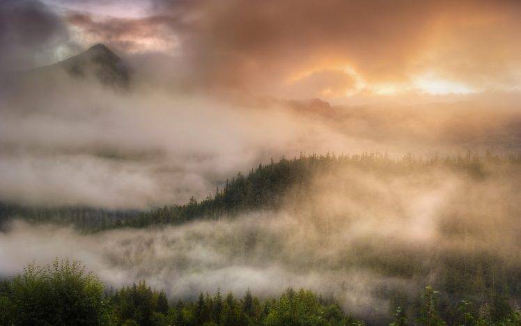 landscape, Nature, Mist, Forest, Clouds, Sunrise, Mountain, Trees, Alaska HD Wallpaper Desktop Background
