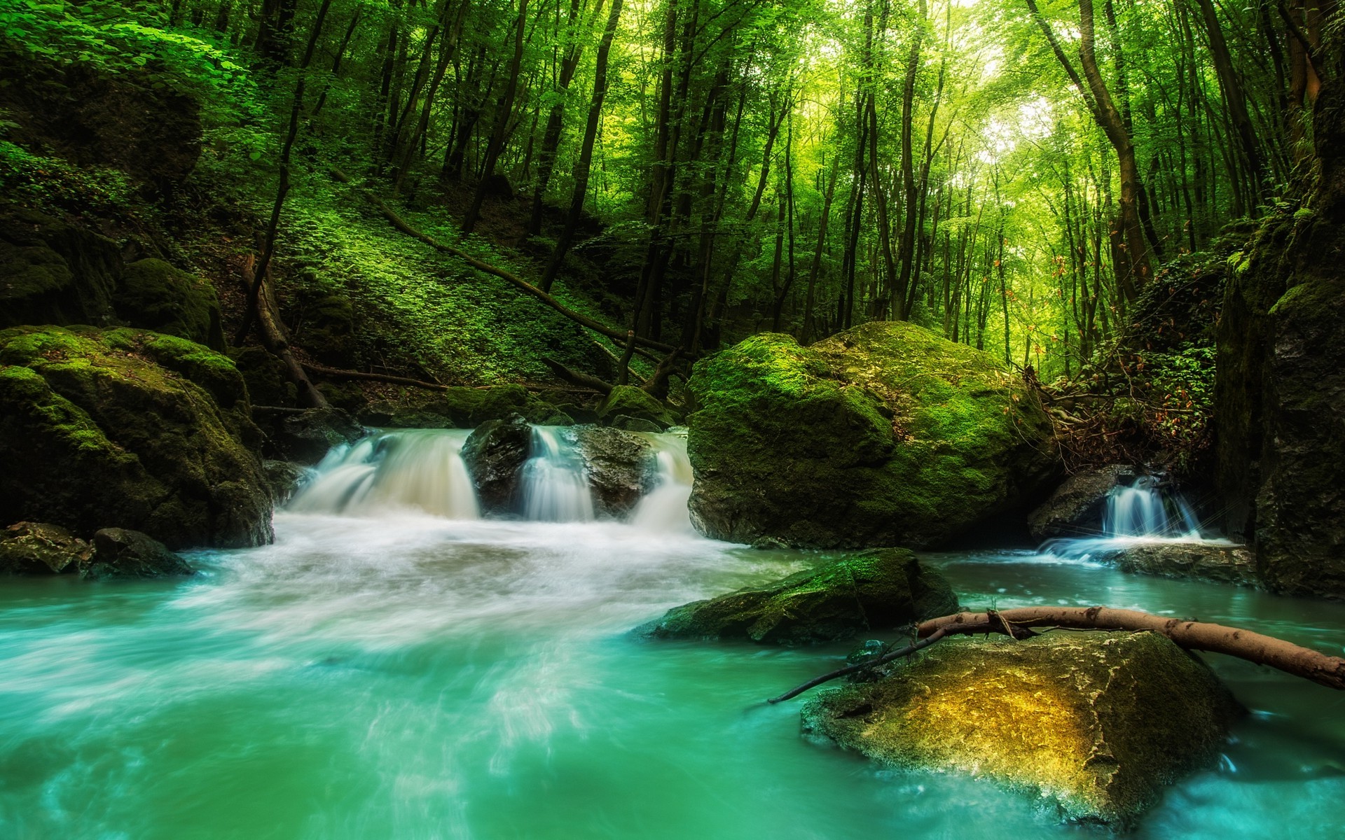 landscape, Nature, Waterfall, Forest, Rock, Sunlight, Green, Water, Trees, Moss Wallpaper