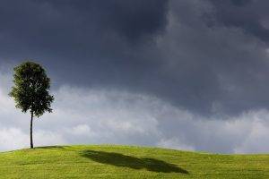nature, Landscape, Trees, Shadow, Minimalism, Clouds, Hill, Field, Grass, Leaves, Sky