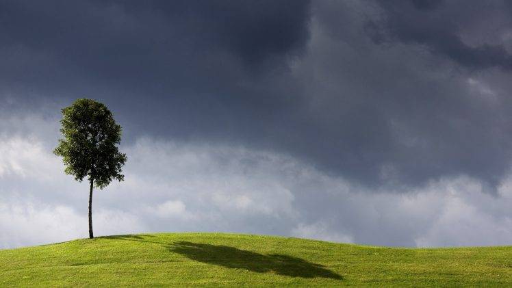nature, Landscape, Trees, Shadow, Minimalism, Clouds, Hill, Field, Grass, Leaves, Sky HD Wallpaper Desktop Background