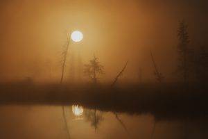 nature, Landscape, Trees, Mist, Blurred, Sun, Water, Lake, Reflection, Silhouette