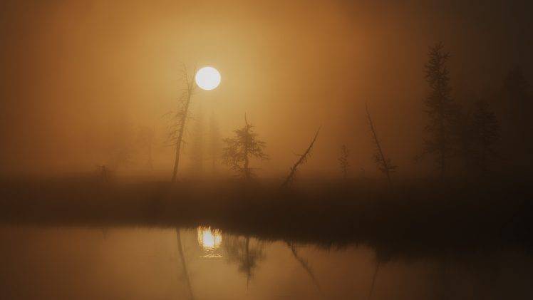 nature, Landscape, Trees, Mist, Blurred, Sun, Water, Lake, Reflection, Silhouette HD Wallpaper Desktop Background
