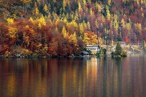 nature, Landscape, Lake, House, Forest, Hallstatt, Austria, Trees, Fall, Water, Colorful