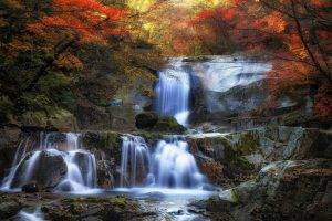nature, Landscape, Fall, Waterfall, Colorful, Forest, Leaves, Moss, Trees