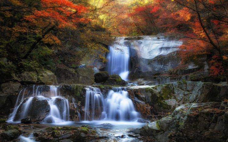 nature, Landscape, Fall, Waterfall, Colorful, Forest, Leaves, Moss, Trees HD Wallpaper Desktop Background