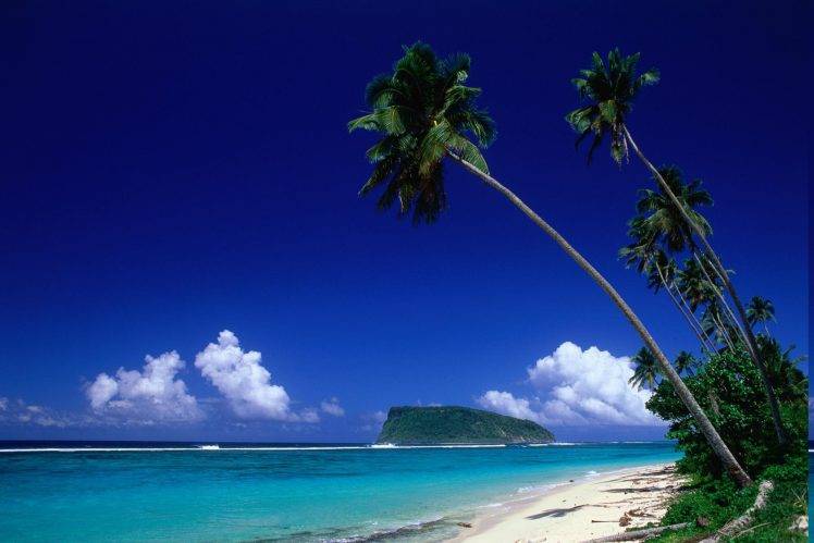 nature, Landscape, Palm Trees, Beach HD Wallpaper Desktop Background