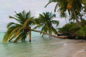nature, Landscape, Maldives, Palm Trees, Beach, Sea, Sand, Tropical, Clouds, Island