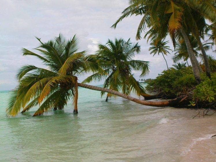 nature, Landscape, Maldives, Palm Trees, Beach, Sea, Sand, Tropical, Clouds, Island HD Wallpaper Desktop Background