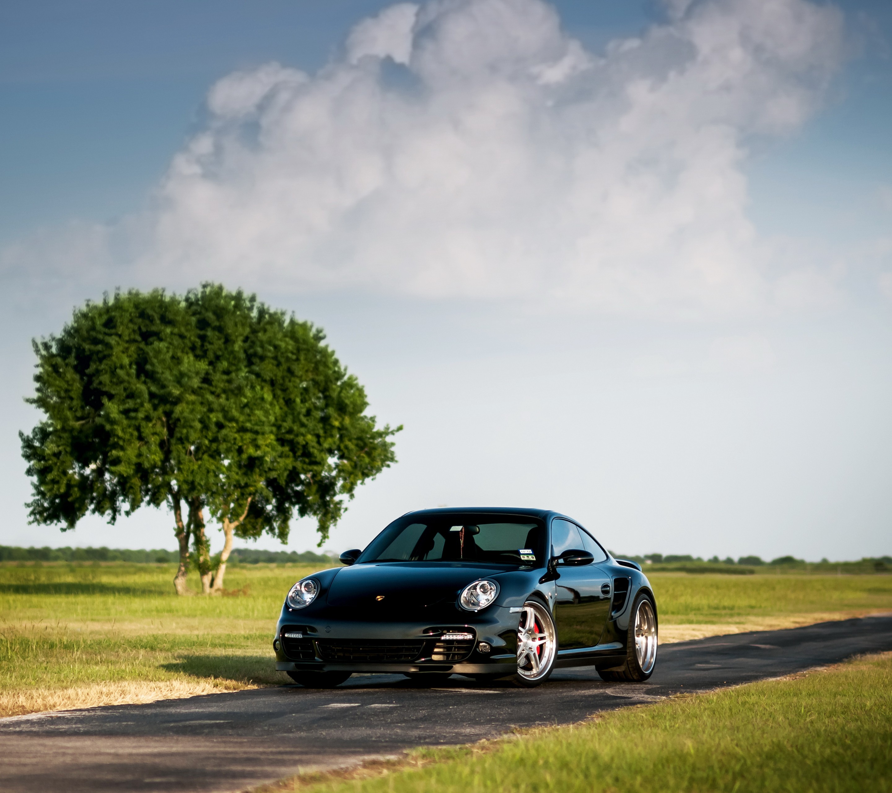 car, Road, Trees, Porsche, Porsche 911 Turbo Wallpaper