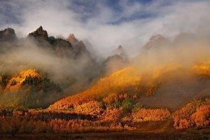 nature, Landscape, Mountain, Clouds, Mist, Morning, Forest, Fall, Colorado, Trees