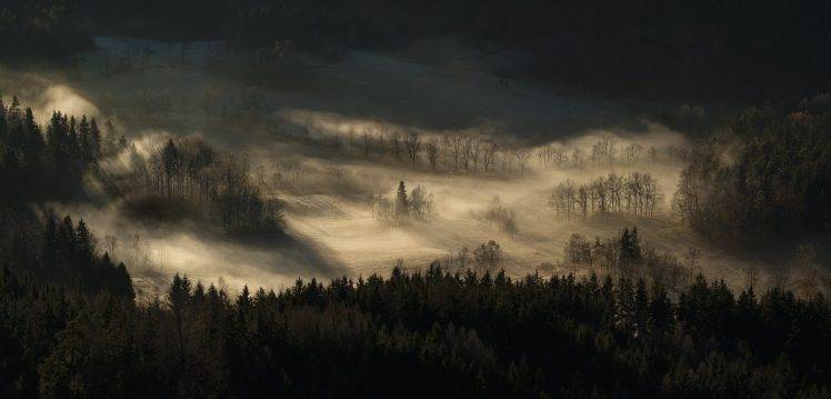 nature, Landscape, Sunrise, Mist, Forest, Hill, Trees, Morning HD Wallpaper Desktop Background