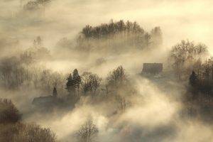 nature, Landscape, Sunrise, Mist, House, Trees, Morning, Aerial View